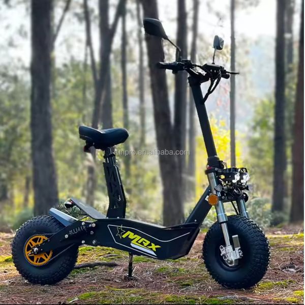 Off Road 2000W 3000W Mobility Electric Scooter COC EEC Brushless Motor 10inch Hub Motor Electric Scooter Motor Bike with CE