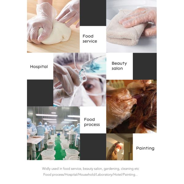 Powder free Transparent Smooth Touch Vinyl Gloves