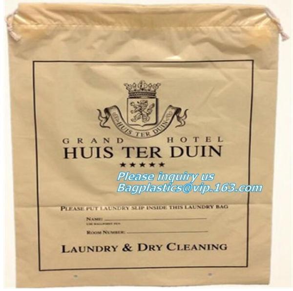En13432 certitified biodegradable and compostable eco friendly punch hole plastic bag for shopping, drawstring bags for