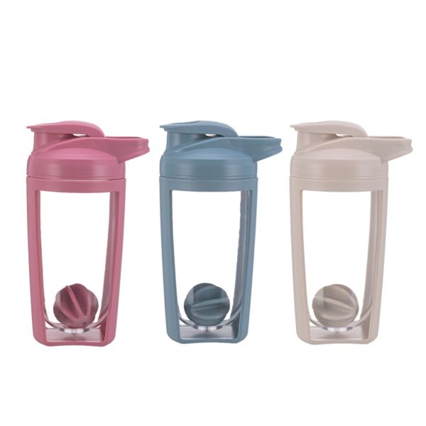 Anti-corrosion Coating Equipped 650ml Plastic Shaker Bottle for Protein Sports Gym