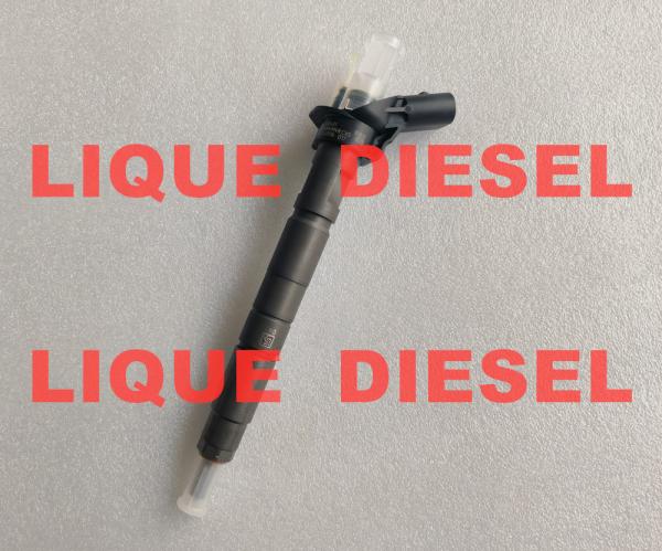 BOSCH Piezo injector 0445116017 0445116018 0 445 116 017 0 445 116 018 33800-2F000 33800 2F000 338002F000