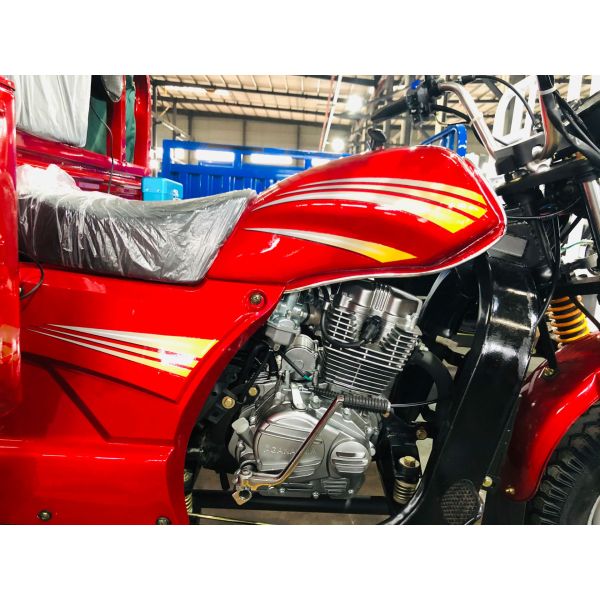 Cargo 250cc Powerful Durable Tricycle Petrol Tricycle with Cabin