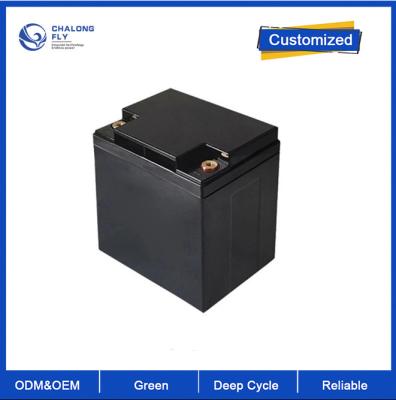Customized Plug Type LiFePO4 Lithium Battery 12V 24V 48V 51.2V 100Ah 150Ah 200Ah MPPT Controller