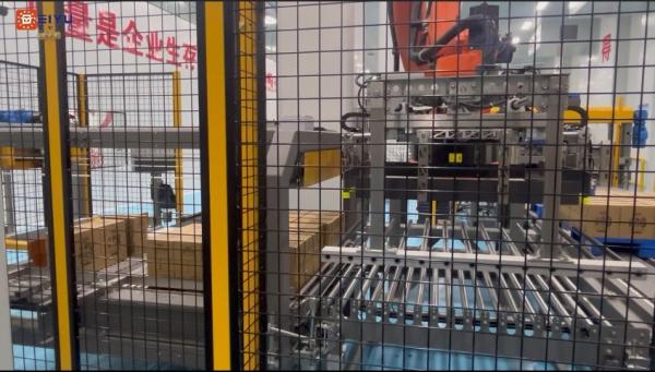 Pneumatique robot boîtier de boisson machine à palettiser programmable personnalisé