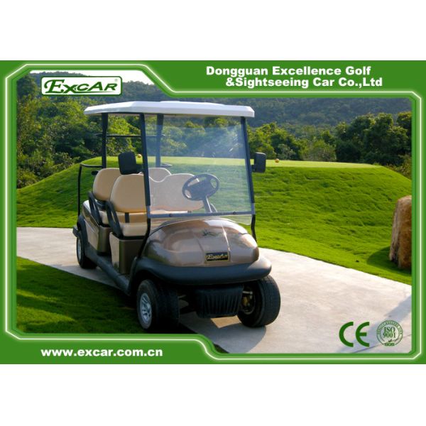 Brown 6 pose la roue en aluminium 48V 3.7KW 630KG de voiture avec des erreurs