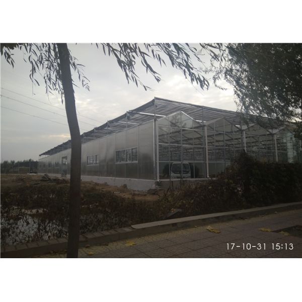 Smooth Visual Appearance PC Sheet Greenhouse Low Heating Energy Consumption