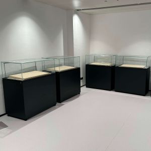 Micro Environment Controlled Glass Display Showcase Free Move for Museum Counter