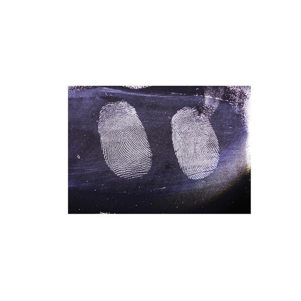 C187 Black gelatin fingerprint lifter