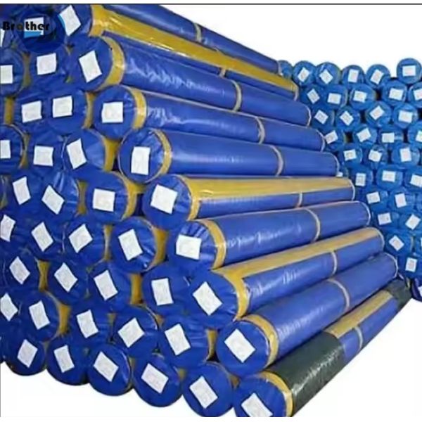 China Factory White PE Tarpaulin Rolls Waterproof and Sunproof