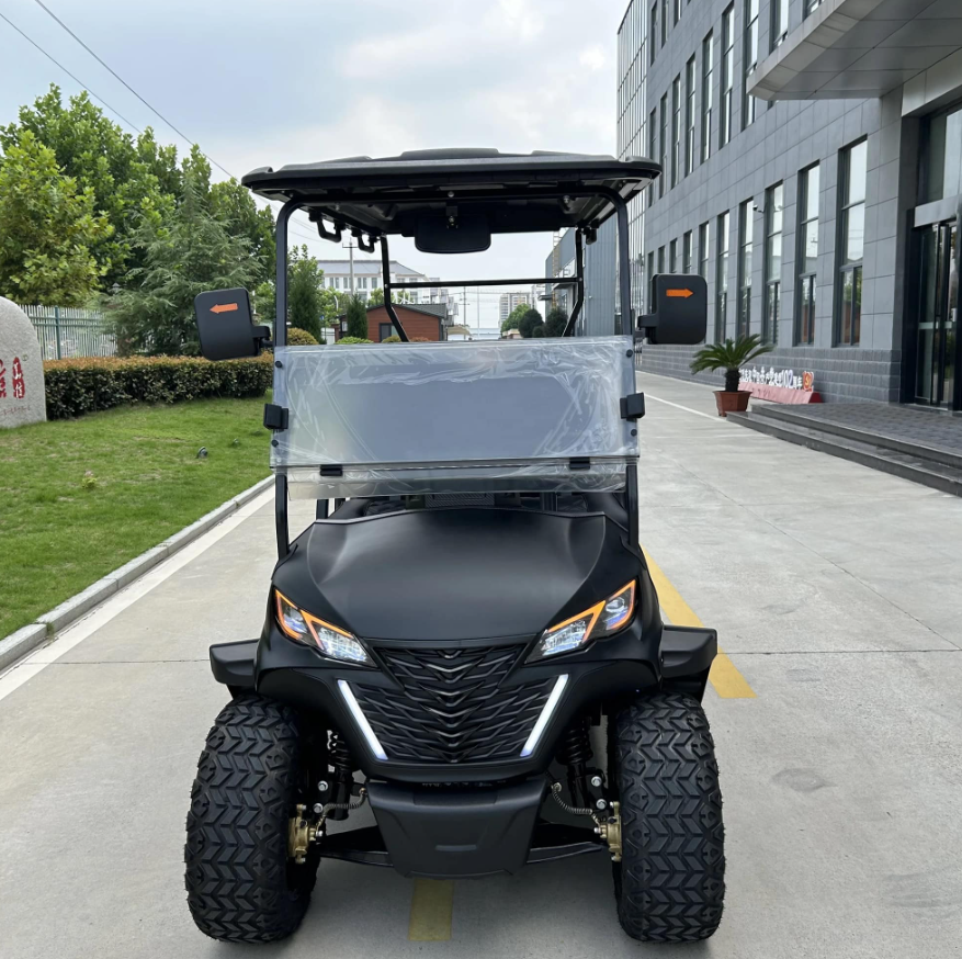 Автомобильная шина 4 места для гольф-коляски 48/60/72в Свинцово-кислотные батареи Электрическая энергия Для продажи