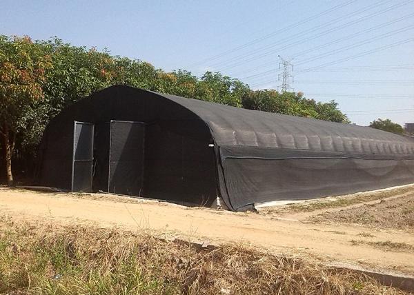 Economical Easy Install Plastic Polytunnel Greenhouse For Edible Mushroom Cultivation