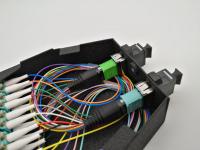 Tableau de connexions optique de fibre de la cassette FTTH de module de MTP RPA UPC 12/24 noyaux