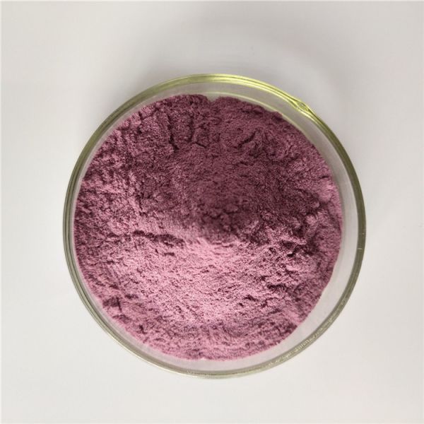 Instant Powder Drink Blackberry Extract Powder With Best Price