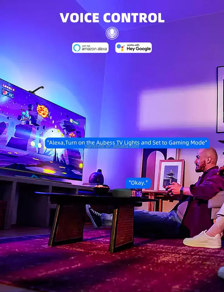 СИД ТВ погружения Wifi Rgbic освещает беспроводное 2.4GHz с камерой