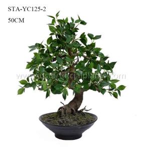 Decoração artificial interna da mesa da altura da árvore 50CM dos bonsais de