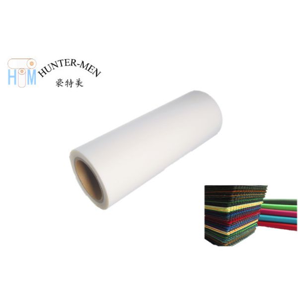 Copolyamide 100mic PA Thermoplastic Adhesive Film For Nylon Fabrics