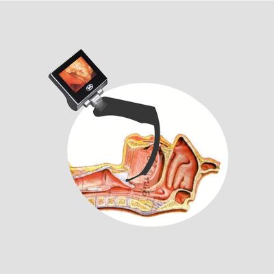 Anesthesia 5 Sized Blades Haiye Video Laryngoscope With Photo Function