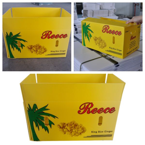 PP Corrugated Vegetable Packaging Box 5mm Vegetable Corrugated Boxes