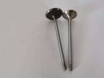 FIAT FIRE 1.4L 8V EVO car diesel Exhaust Valve 4257EC Engine Spare Parts