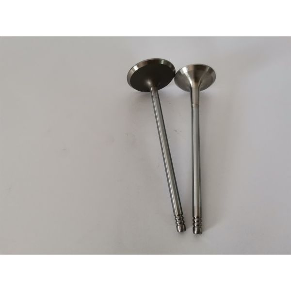 FIAT FIRE 1.4L 8V EVO car diesel Exhaust Valve 4257EC Engine Spare Parts