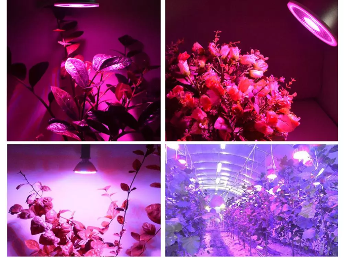 Aluminum 6W LED Flowering Grow Lights 50000H 85V-265V High Luminous Efficiency