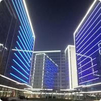 Permanent Christmas Pixel Point Led Light For Amusement Park