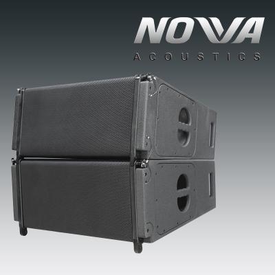 10 Inch 60Hz  1000W Line Array Speaker With 2x10Neodymium Transducers