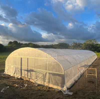 Conservatório de Filmes de Plástico Estufas Casa Hoop Polytunnel Alto Túnel Estufas