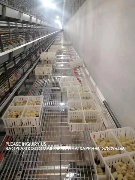 sustainable white chicken cage 680*490*160mm Virgin PP Transportation Chicken Cage