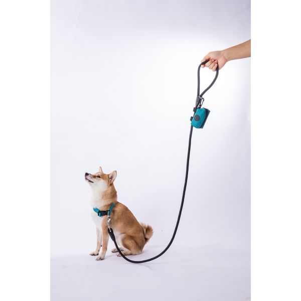 Eco Friendly OEM ODM Custom Classic Nylon Pet Collar With Plastic Buckle