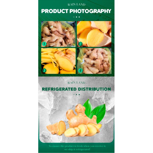 Organic Fresh Yellow Young Ginger Farm-Grown Chinese Ginger High-quality 100% Pure Natural Specification