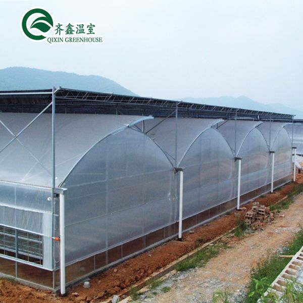 Large Steel Greenhouse Structure Shed Design With 150/200micro PE Film Covering
