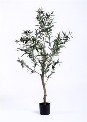 Hand Crafted Olive Tree Bonsai Indoor Indoor Decoration Bright Spot Color Change