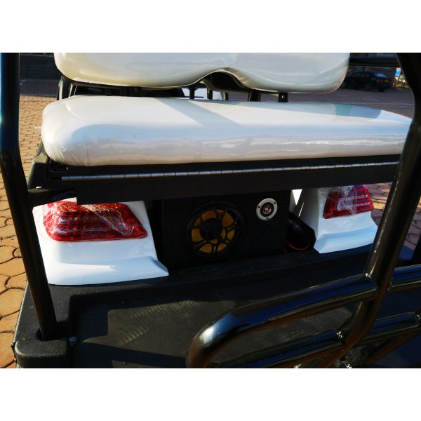 Новый дизайн 30 миль в час Малоскоростное транспортное средство Голф-коляска 6 пассажиров OEM Бесплатная доставка Горячая продажа