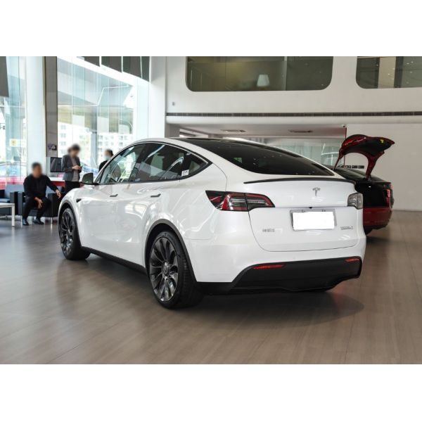 Tesla Model Y Electric Vehicle with 217km/h Top Speed and 100% Electric Energy Type