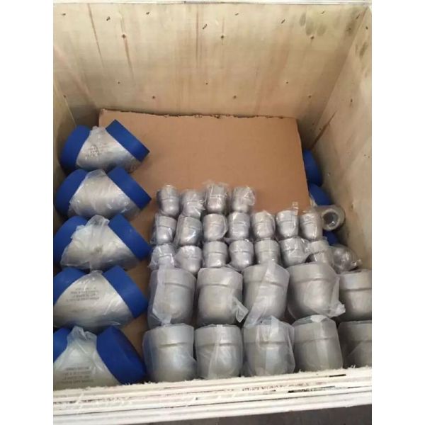 Electro Polished SS304L EN 10253-2 Type B Butt Weld Pipe Cap for Corrosion Resistant Pipeline End Closures