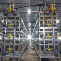Type automatique des rangées H des rangées 4 de l'équipement 3 de cages de volaille de grilleur