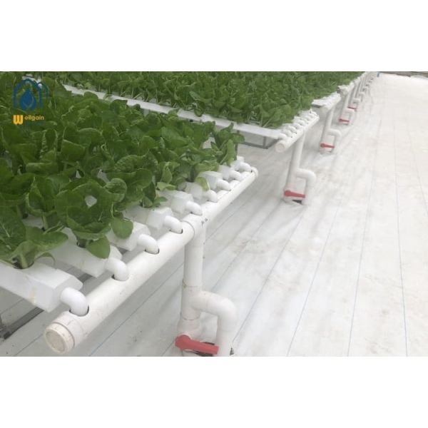 White Hydroponic Growing System Flat Hydroponic PVC Pipes Food Grade
