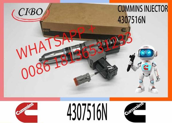 Remanufactured Quality N14 Series Fuel Injector Assy 4307516N Injector Part NO. 3411762 3411767 All On Sale