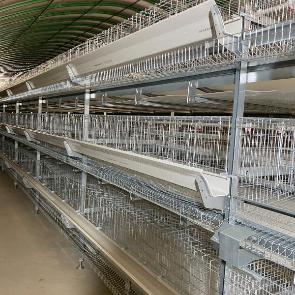 Tipo de aço galvanizado quente 3 séries da gaiola H das aves domésticas da bateria