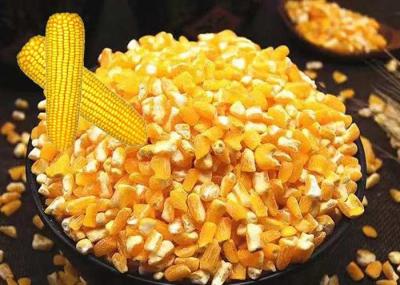 Premium Corn Major Agricultural Products , Agricultural Food Products Dried Style