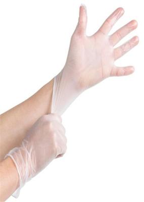 Clear Vinyl  Disposable Hand Gloves Powder Free With CE FDA ISO Certification