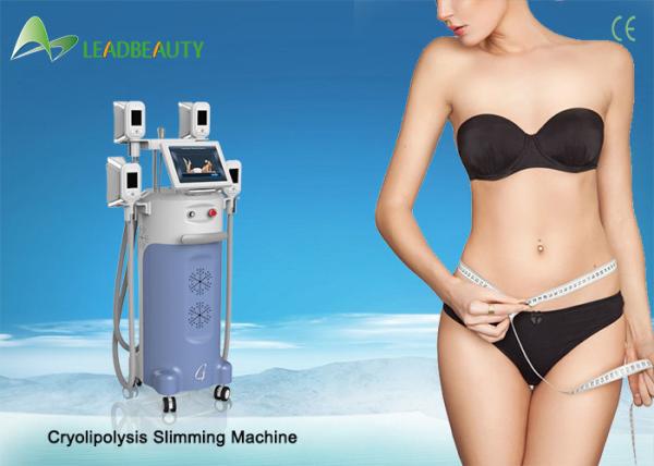 New model salon use body slimming device hot cryo freezing fat machine