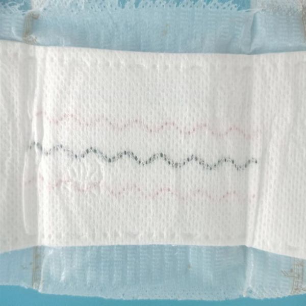 Certificado ISO9001 CE Anión de hierbas personalizadas para mujeres 2022 Panty Liner de incontinencia