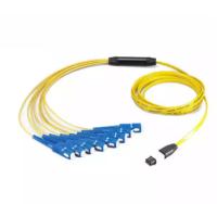12 noyau MTP/MPO - corde de correction de SM de Sc utilisée à l'intérieur de la boîte de module