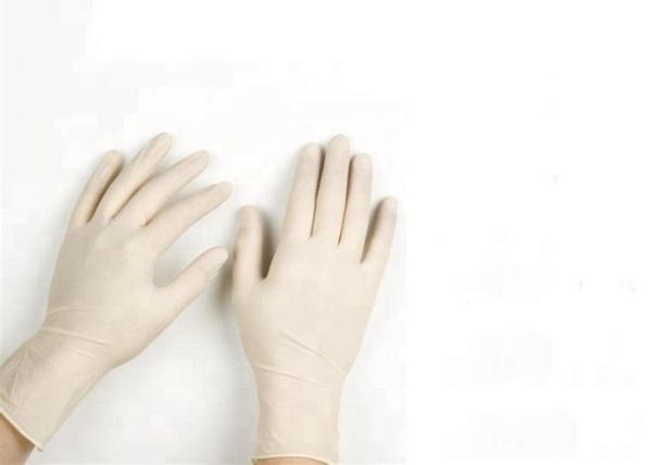 Purple Color Disposable Medical Gloves Natural Latex Material For Hospital / Laboratory
