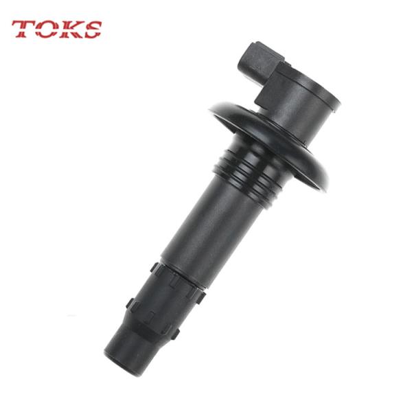 296000307 420664020 290664020 1297004410 SeaDoo Ignition Coil