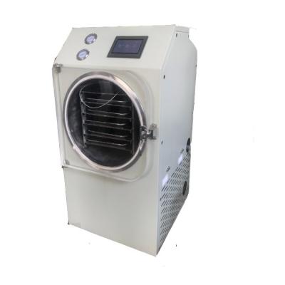 Grey Mini Freeze Dry Oven Small courant la consommation basse d'énergie actuelle