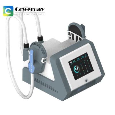 110V-220V EMS Muscle Stimulator Machine  , 2 Handles EMS Machine For Weight Loss