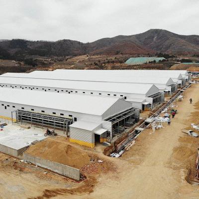 Controlado ambiental da casa das aves domésticas da construção de aço da casa pré-fabricada